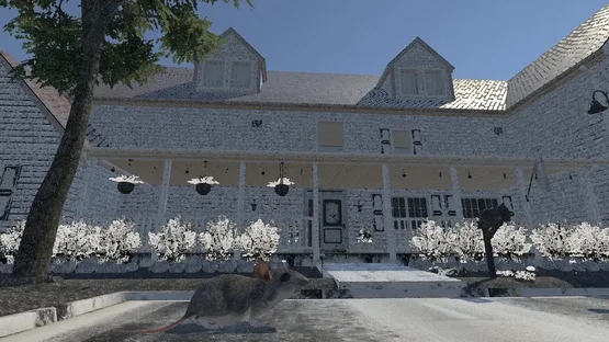 Hidden Tails screenshot 1