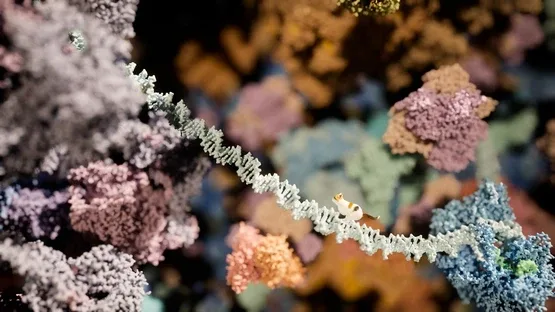 Meowtabolism: Examining Feline Behavior Within Unicellular Algae screenshot 1