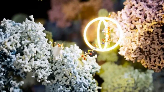 Meowtabolism: Examining Feline Behavior Within Unicellular Algae screenshot 3