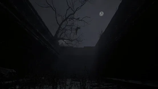 Bhangarh: The Untold Story screenshot 4