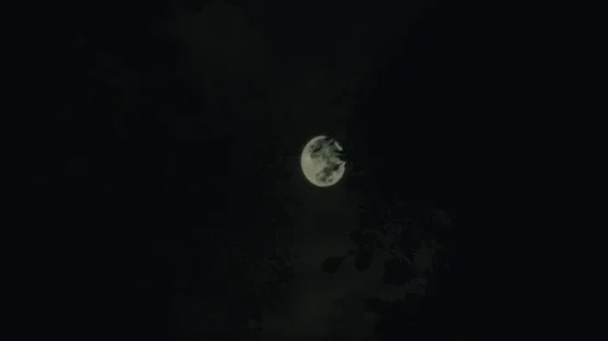 Untold Memories: Potter's Field screenshot 9