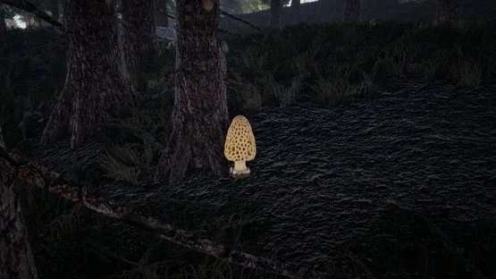 Forager's Finds screenshot 9