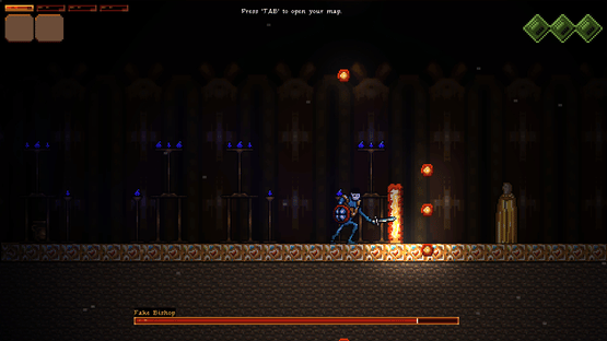 Sylva: Curse of the Demon Woods Screenshot