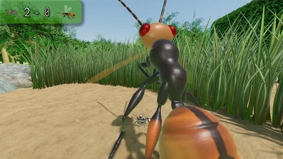 A little Jumpingspider's Garden Adventure (Day 1+2) screenshot 4