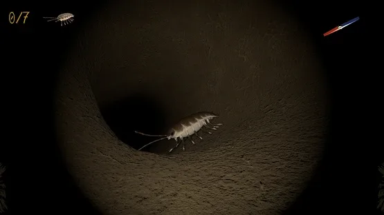 A little Jumpingspider's Garden Adventure (Day 1+2) screenshot 5