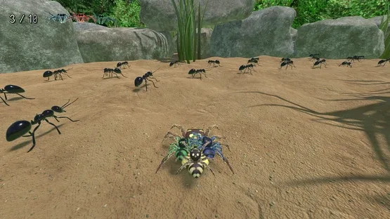 A little Jumpingspider's Garden Adventure (Day 1+2) screenshot 10