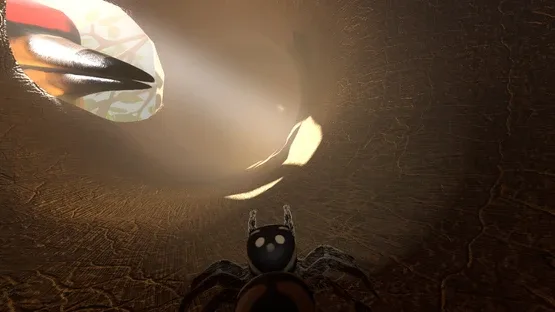 A little Jumpingspider's Garden Adventure (Day 1+2) screenshot 11