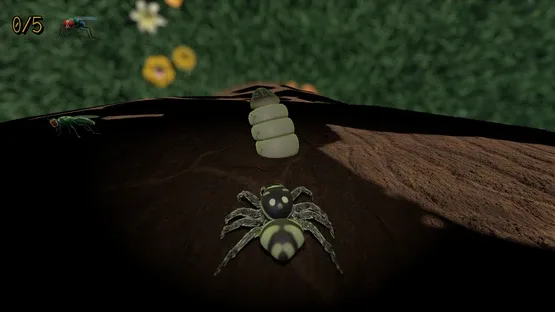A little Jumpingspider's Garden Adventure (Day 1+2) screenshot 12