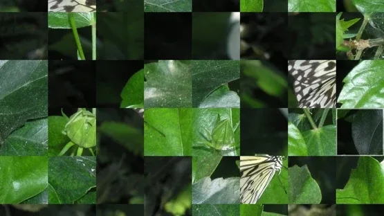 Displacement Arcade Game Box screenshot 9