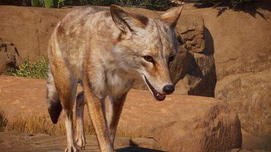Planet Zoo: Americas Animal Pack screenshot 3