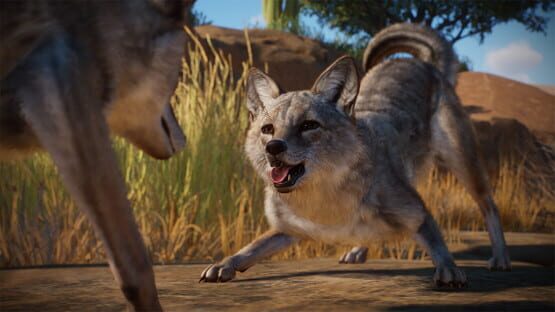 Planet Zoo: Americas Animal Pack screenshot 4