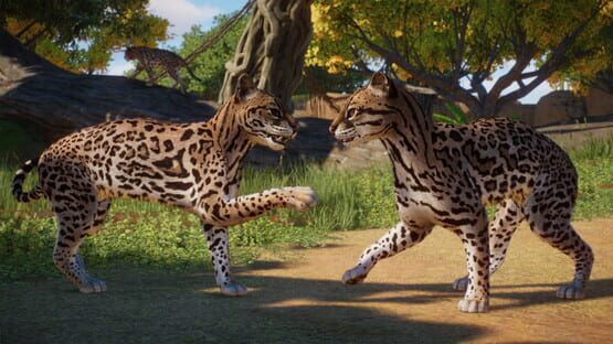 Planet Zoo: Americas Animal Pack screenshot 7