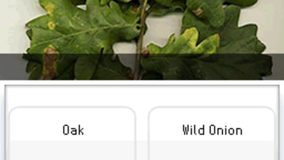 Wildlife Greenhouse screenshot 2