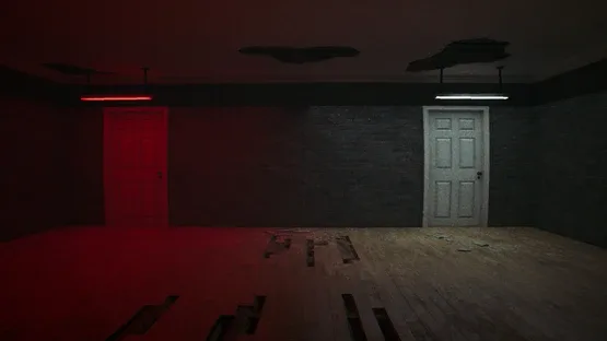 Plura Ingenia: Patient 16 screenshot 7