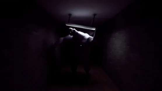Plura Ingenia: Patient 16 screenshot 8