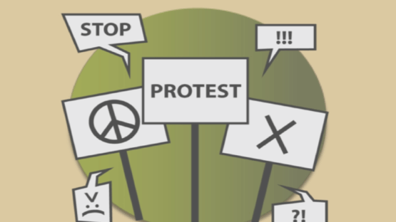 Protest Sim Screenshot