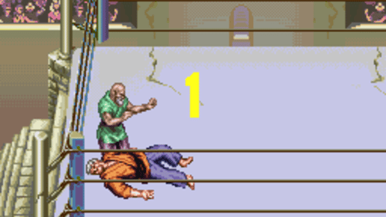 Sougou Kakutougi: Astral Bout Screenshot