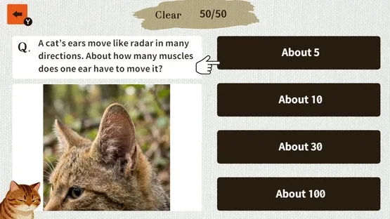 Cat Doctor: For Loyal Servants screenshot 2