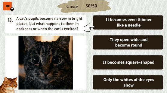 Cat Doctor: For Loyal Servants Screenshot