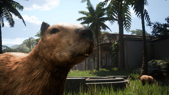 Airport Contraband Screenshot