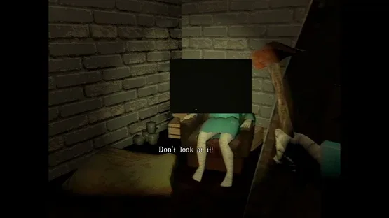 Thumbnail 12