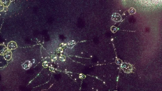 Substrate: Emergence screenshot 3