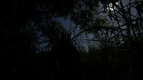 Whispers of the Tallgrass screenshot 8