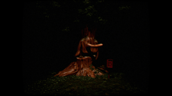 Decoration background