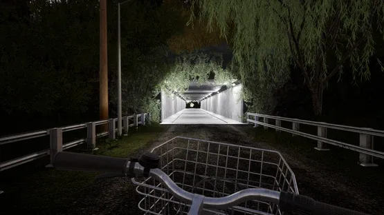 Unseasonable Flowering screenshot 9