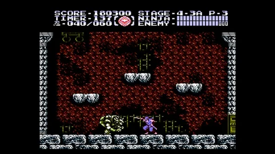 Console Archives: Ninja Gaiden III - The Ancient Ship of Doom screenshot 9