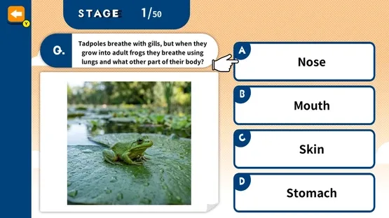 Challenge Together! Elementary School Quiz screenshot 1