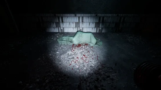 Echoes of Sin: Confusion screenshot 3