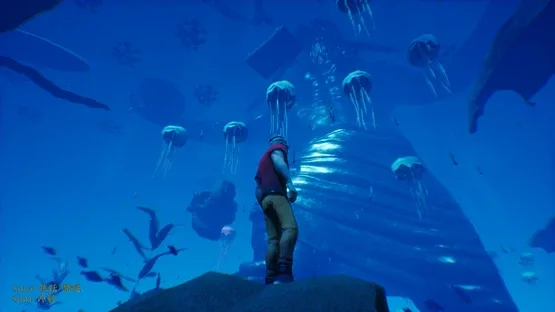 Thumbnail 9