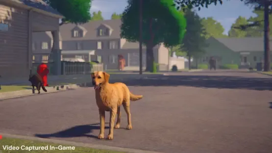 Whose Lawn Is It Anyway screenshot 1