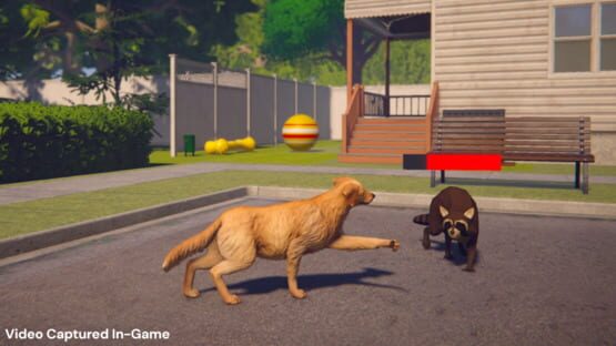 Whose Lawn Is It Anyway screenshot 3