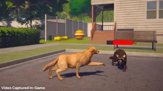 Whose Lawn Is It Anyway screenshot 3