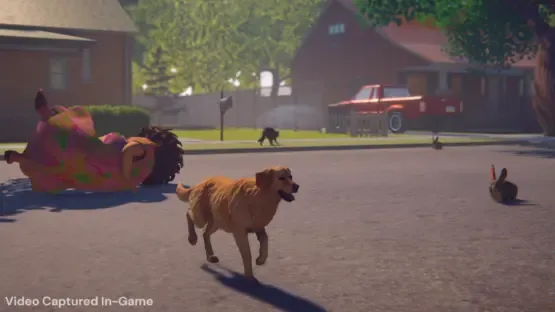 Whose Lawn Is It Anyway screenshot 5