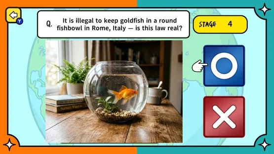 Surprising Laws Around the World True or False Quiz screenshot 4