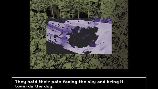 Fatal Focus kuvakaappaus 1