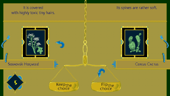 Flip the Choice Screenshot