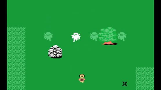 Ninja Princess screenshot