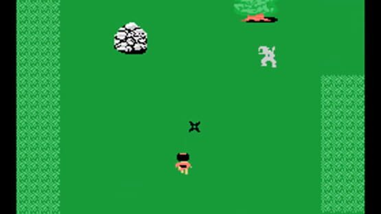 Ninja Princess screenshot