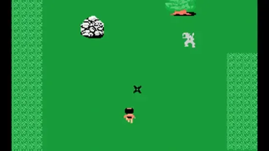 Ninja Princess gameplay screenshot 2