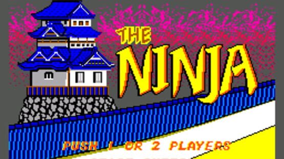 The Ninja screenshot 3