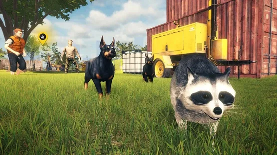 Raccoon Survival Simulator screenshot 5