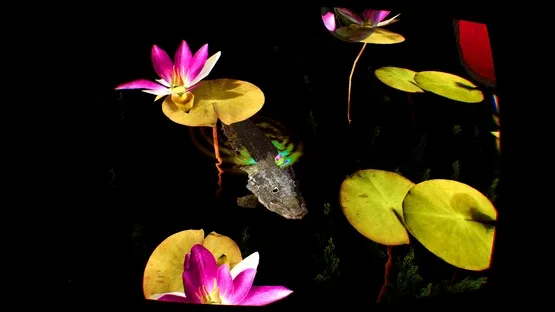 Grenouilles 3D screenshot 4