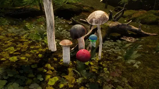 Mushroom Simulator Co-op screenshot 5