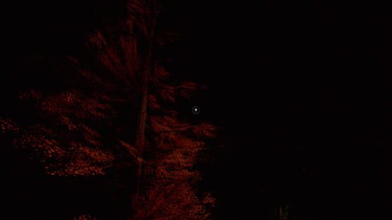 Night Pump: A Horror Game Remake screenshot 6