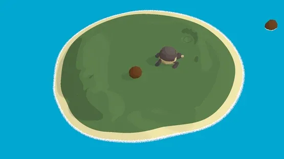 The Art of Tortoise Walking screenshot 4