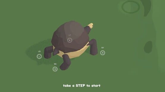 The Art of Tortoise Walking screenshot 5